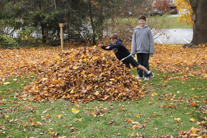 slideshow